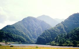 ダム（奈良田湖）