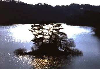 晩秋のたねが池　写真