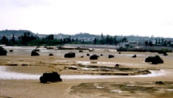 佐和田浜（伊良部島）に散らばる残留岩石